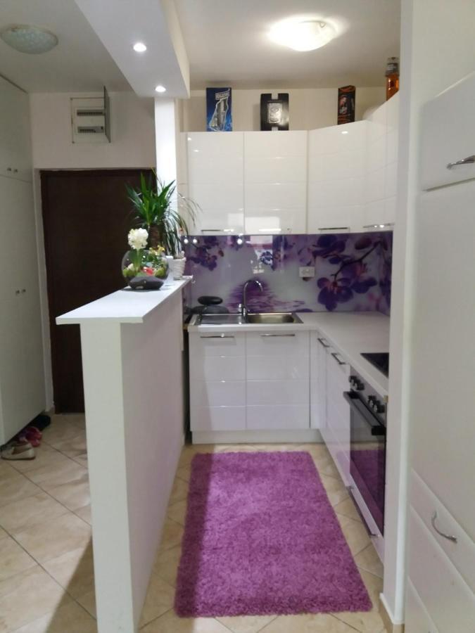 Apartman Anja Apartment Stara Pazova Exterior photo