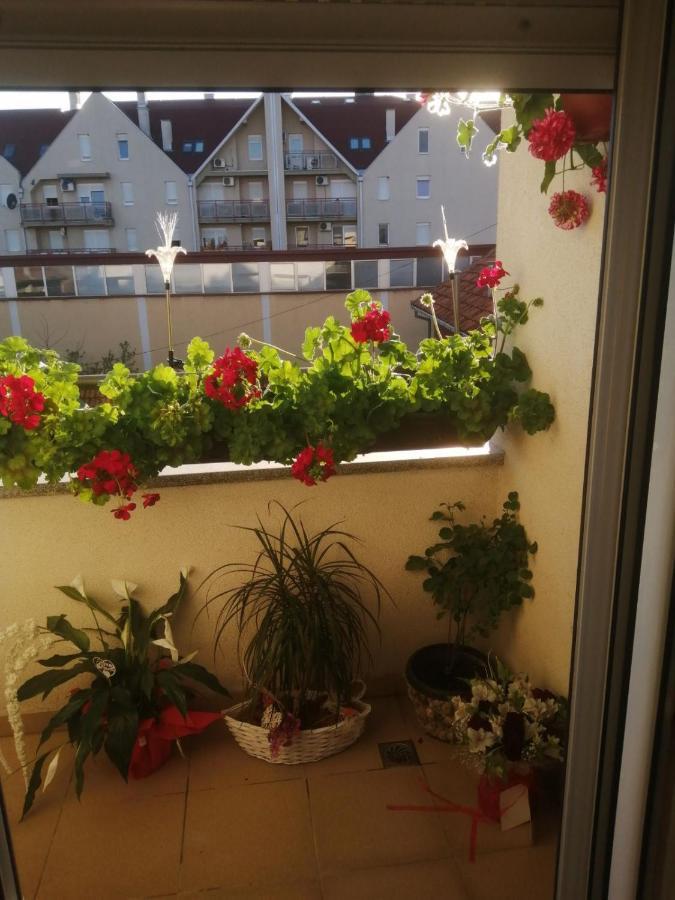 Apartman Anja Apartment Stara Pazova Exterior photo